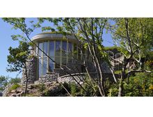 Treetop From Side