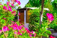 Huts