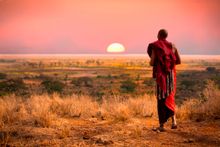 Masai Man In Africa
