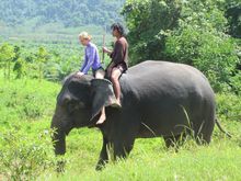 The Sarojin Elephant Bathing Family