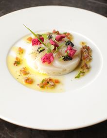 King scallop ceviche