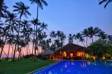 Reef, Sri Lanka 