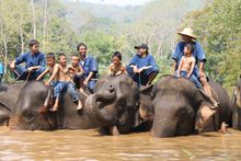 Elephant Education for younger Thai children 