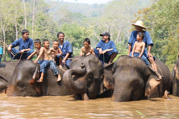 Elephant Education for younger Thai children 