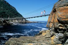 PR2 Tsitsikamma Garden Route