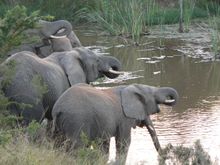 PR2 Lalibela Game Reserve