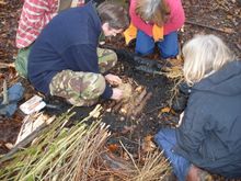 Ranger Skills Weekend, Bryngarw