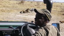 Spokes, Botswana Leader