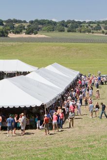 Vintners Festival, Photo by Jeremy Ball