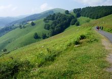 French Way Camino de Santiago Pyrenees