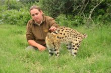 Serval PR3