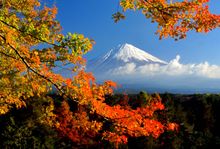 Mount Fuji