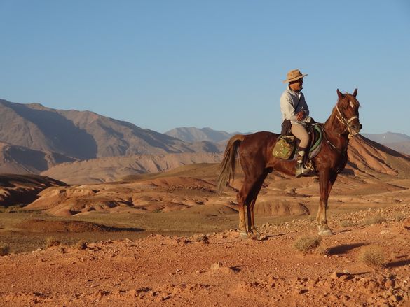 In The Saddle Morocco