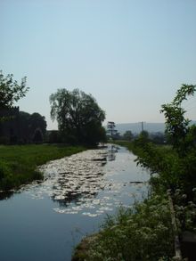 Stonehouse Court 3