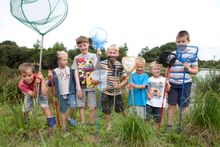 Free Bug Hunts At Trevella Park