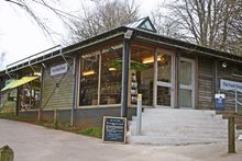 The Food Shop 