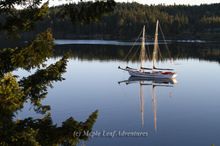 The ship SV Maple Leaf, at anchor, April, Gulf Islands