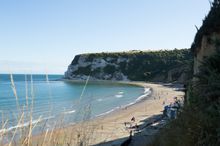 Whitecliff Bay