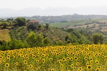 Italy Mindfulness Retreat