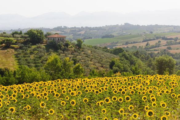 Italy Mindfulness Retreat