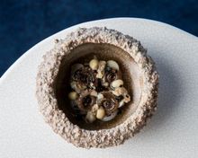 The Curated Plate