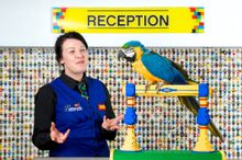 Legoland Parrots