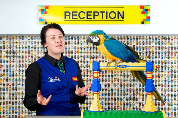 Legoland Parrots