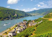 Rhine River Cruises