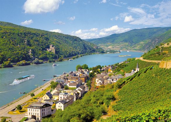 Rhine River Cruises
