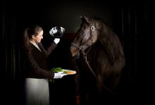 CPA - Ultimate Horse Check-in, carrots served on cloche 