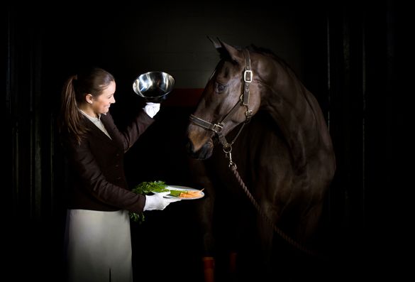 CPA - Ultimate Horse Check-in, carrots served on cloche 