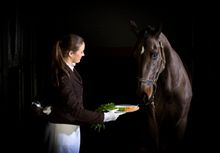 CPA - Ultimate Horse Check-in, carrotts served on silver plate 