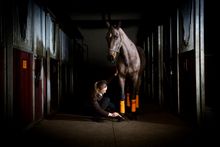 CPA - Ultimate Horse Check-in, hoof oil 