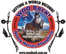 Woo Back - setting a record