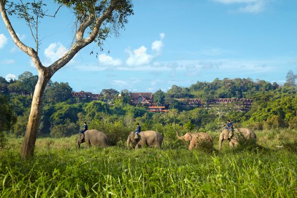 Resort exterior and elephants