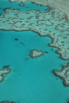 Heart Reef, Great Barrier Reef - Whitsundays
