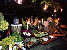 Safari Buffet