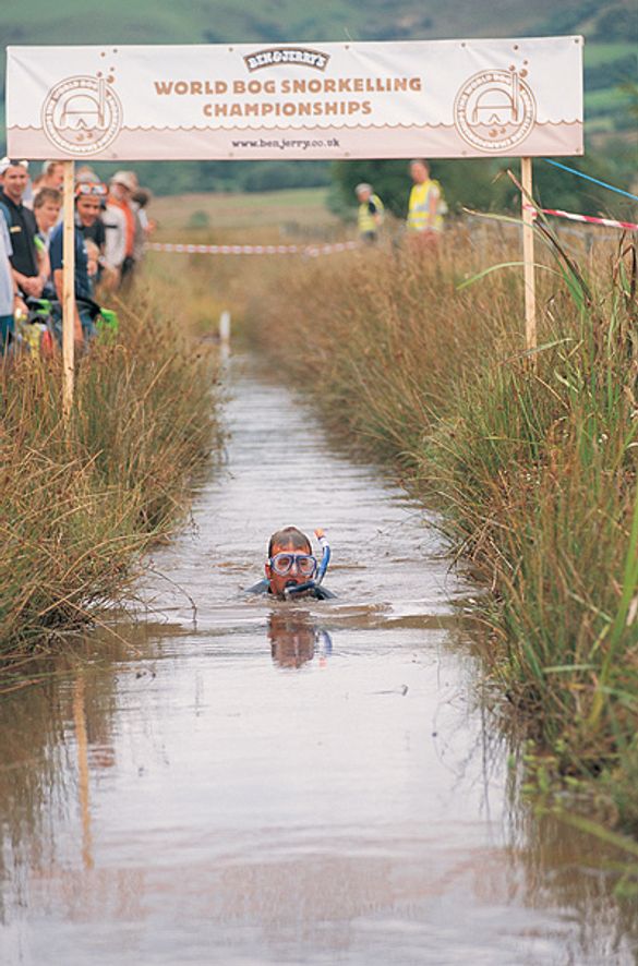 The Bog Snorkelling Championships