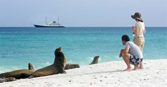 IE Galapagos guests encounter friendly sea lions of a remote beach. 