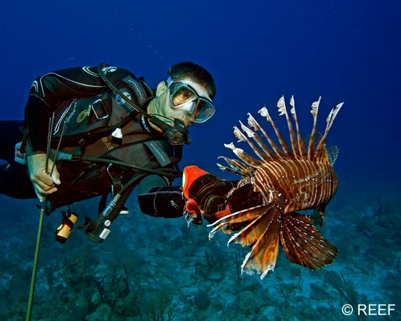 Lionfish Hunter