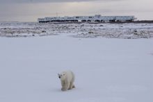 Outside of the Tundra Buggy Lodge at Polar Bear Point