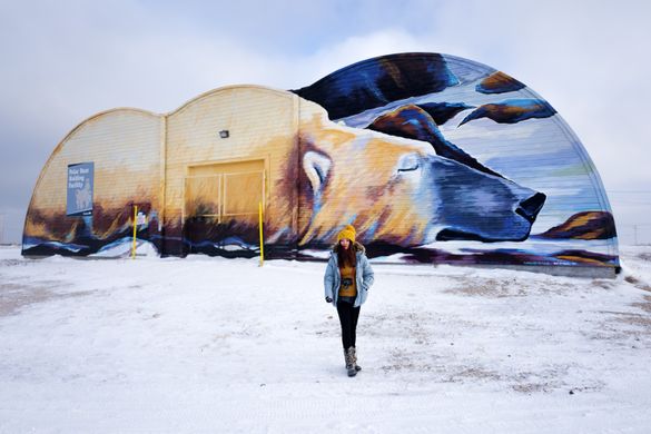 Outside of Churchill's Polar Bear Holding Facility, also known as the 