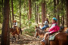 Guided Horseback Ride, Mormon Lake