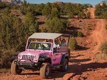 Diamond Gulch Tour, Pink Jeep Tours  	