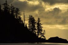 The misty world on a safari in British Columbia's archipelagos.