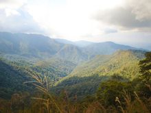 Mae Takhrai National Park. *Photo credit: Department of National Parks, Wildlife and Plant Conservation