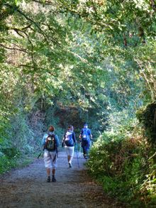 Pilgrims on the Camino de Santiago trail