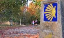 Pilgrims on the Camino de Santiago