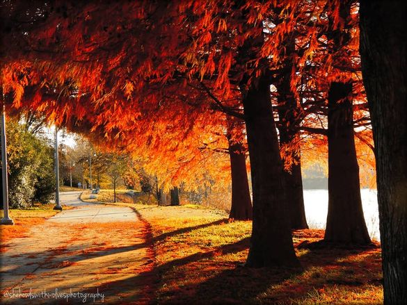 Clarksville's RiverWalk glows with Fall color.