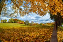 Rural fall along a scenic back road.